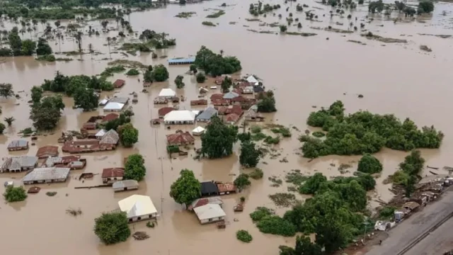 Rescue operations underway after Nigeria flooding kills at least 150