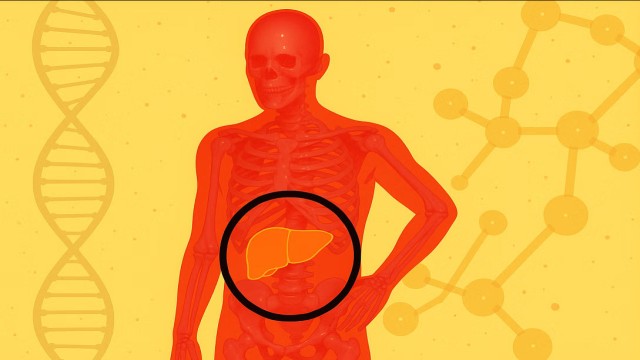 How to reverse fatty liver naturally: Expert-recommended diet tips